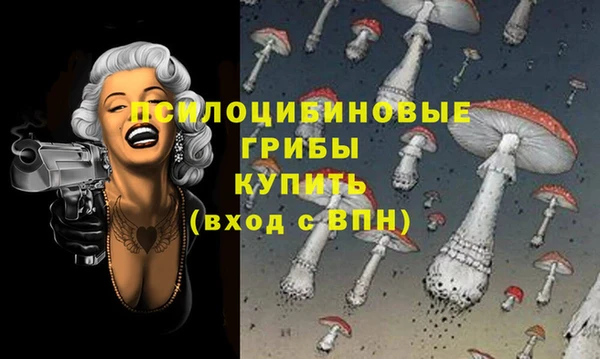 круглые Ладушкин