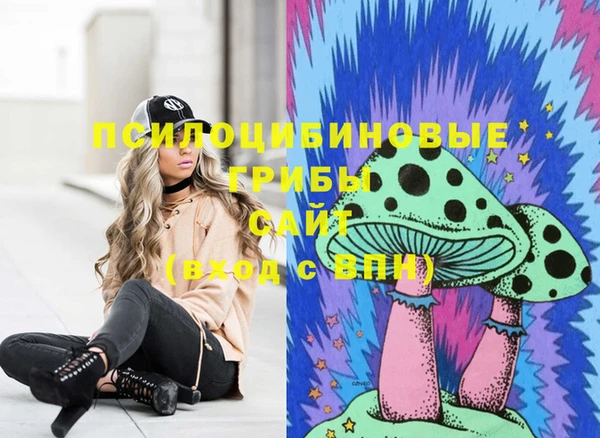 таблы Лабытнанги