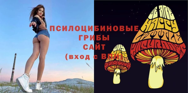таблы Лабытнанги