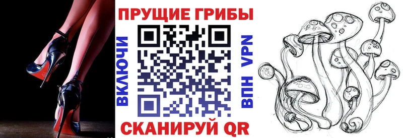 даркнет телеграм Черняховск Псилоцибиновые грибы мухоморы kraken онион