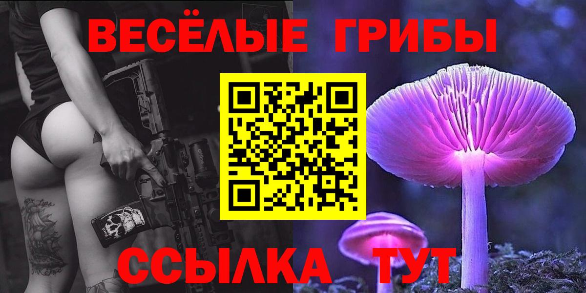 Черняховск  Галлюциногенные грибы Psilocybine cubensis  Вход с VPN 